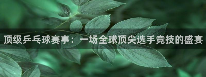 顶级乒乓球赛事：一场全球顶尖选手竞技的盛宴