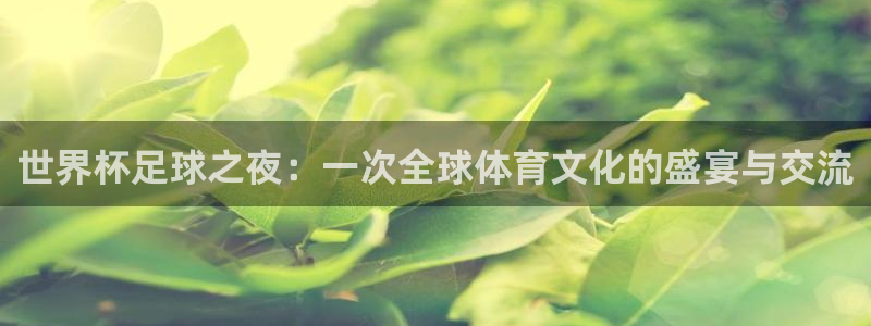 壹号平台可以挨绑提现姓名吗：世界杯足球之夜：一次全球体育文化