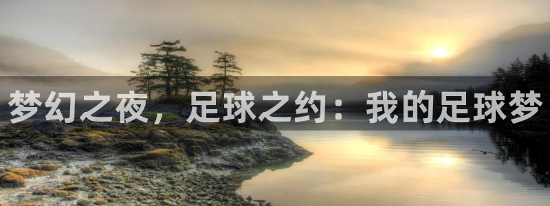 壹号手游：梦幻之夜，足球之约：我的足球梦