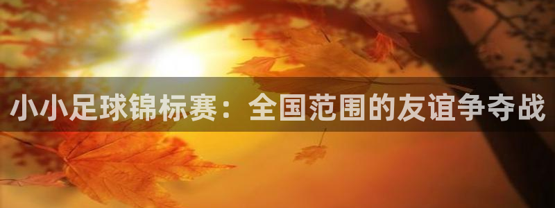 壹号国际文化广场：小小足球锦标赛：全国范围的友谊争夺战