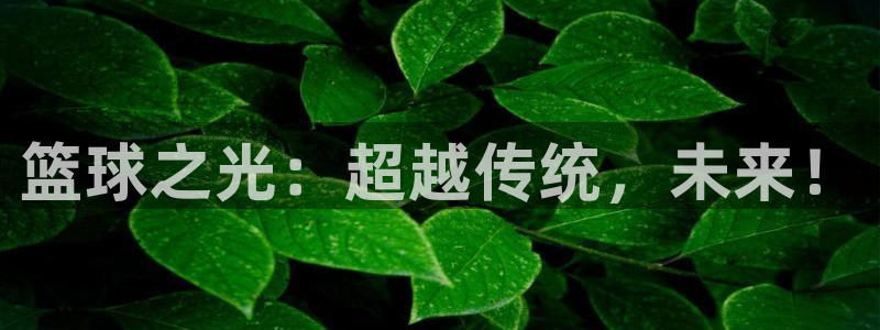 一号平台下载地址：篮球之光：超越传统，未来！