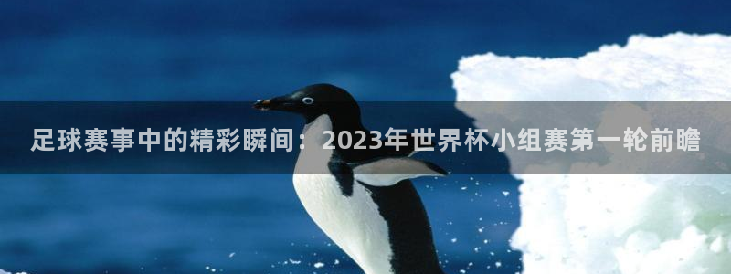 一号社区二维码：足球赛事中的精彩瞬间：2023年世界杯小组赛