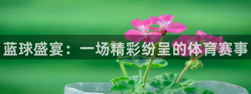 壹号平台首页：蓝球盛宴：一场精彩纷呈的体育赛事