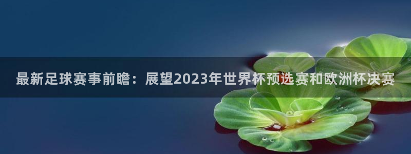 壹号公馆ktv娱乐会所怎么样：最新足球赛事前瞻：展望2023