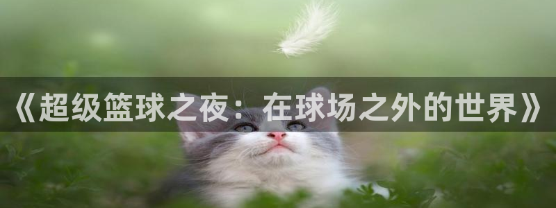 壹号ktv 电话号码：《超级篮球之夜：在球场之外的世界》