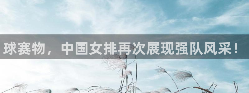 壹号shop买的鞋子正吗