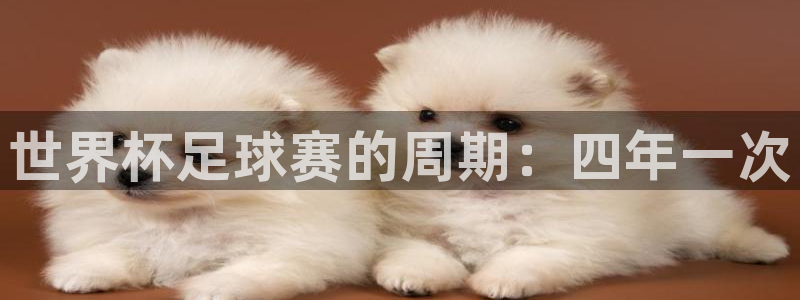 壹号娱乐是什么