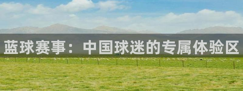壹号娱乐科技赋能,让平台更有趣：蓝球赛事：中国球迷的专属体验